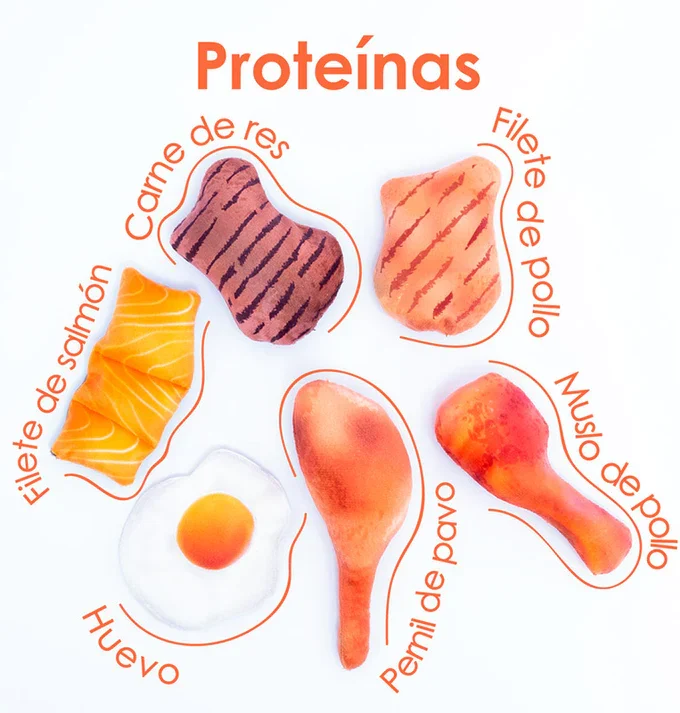 Mini Kit de Proteinas
