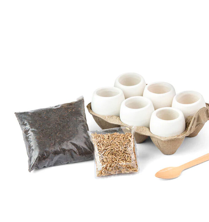 Huevos Materitas x6 Verde