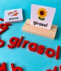 Juego De Ortografia