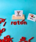 Juego De Ortografia 2