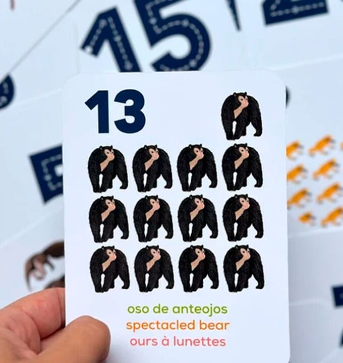 Flashcards Los Números Con Animales De Colombia