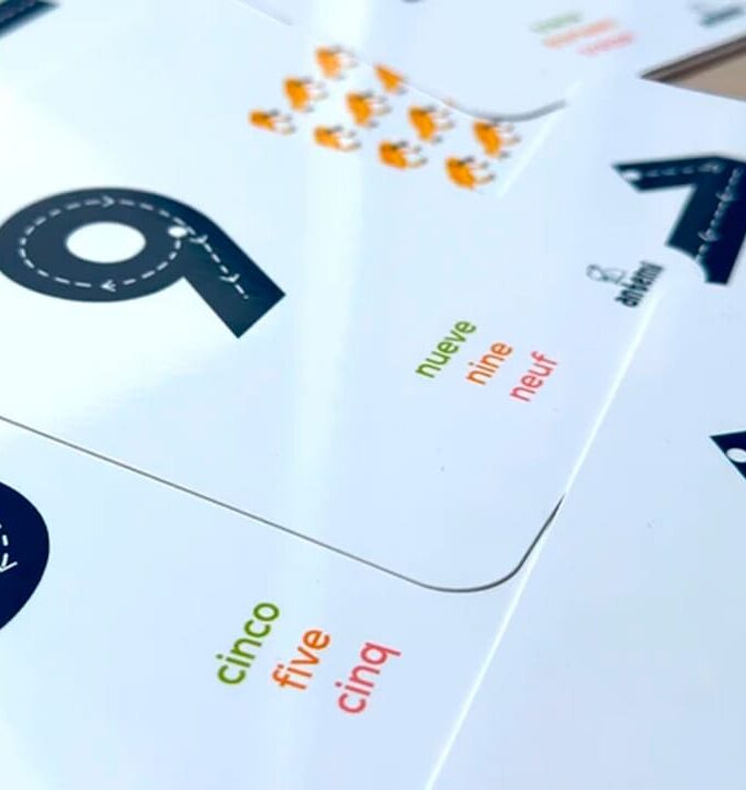 Flashcards Los Números Con Animales De Colombia