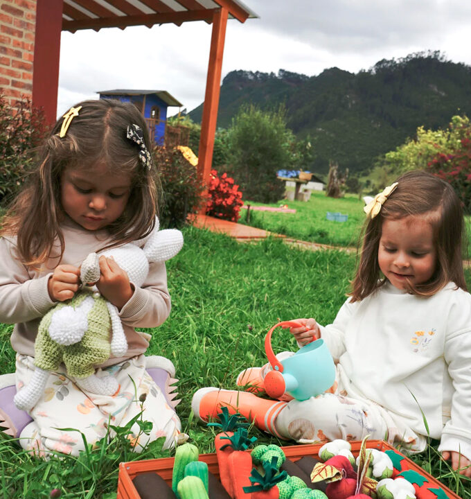 Yoga Pant Colíbries