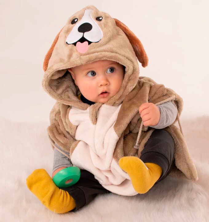 Ruana Beagle