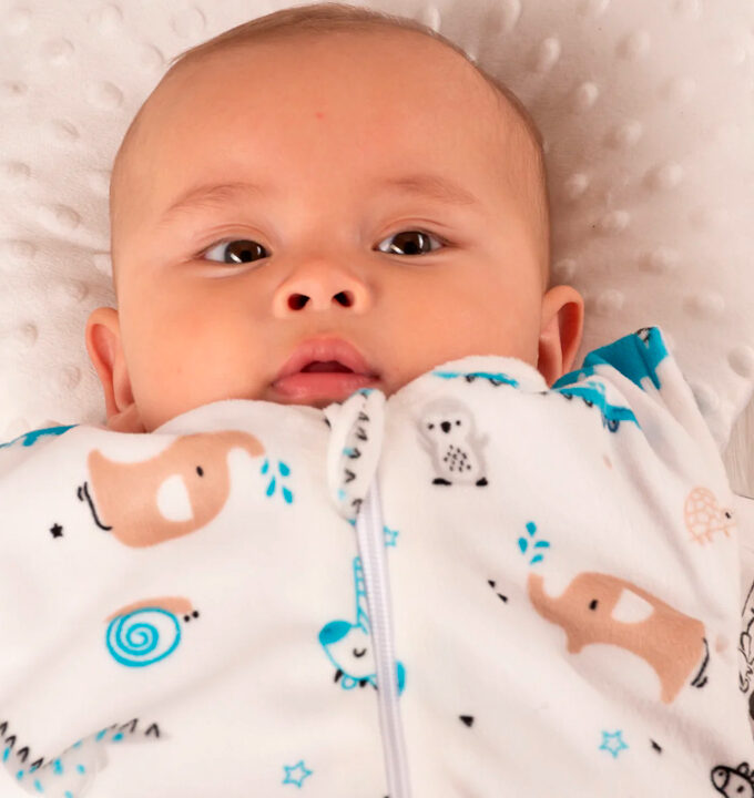 Sleeping Bebé Animalitos